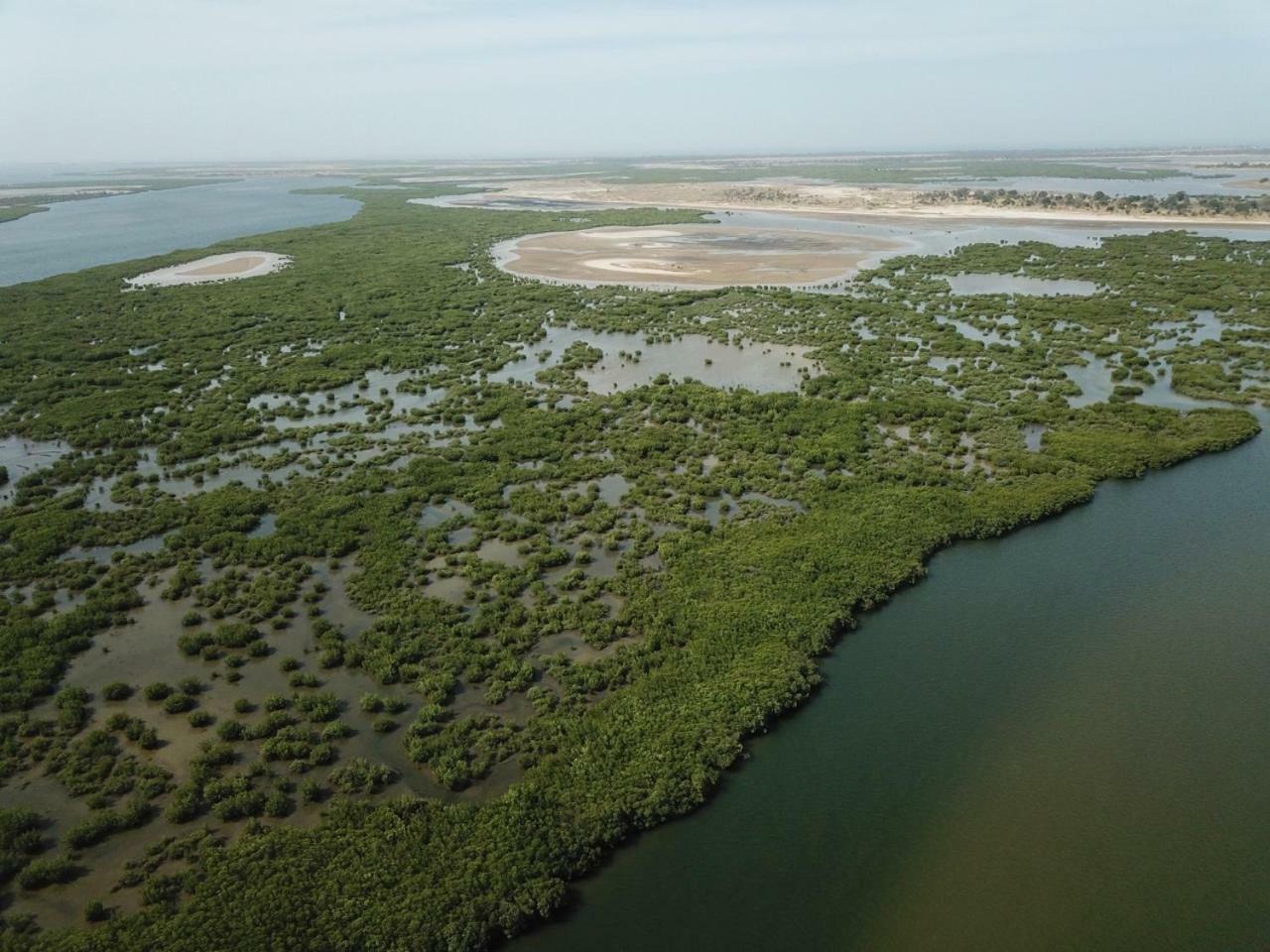 Le Pelican Du Saloum Sine-Saloum ภายนอก รูปภาพ
